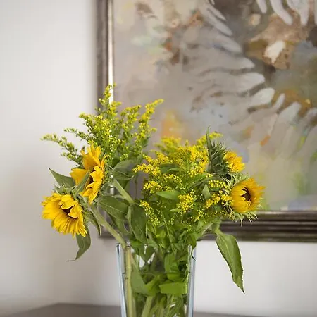 La Alcoba Del Agua Boutique 2* Sanlúcar de Barrameda